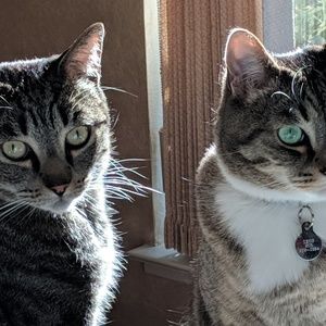 Meet your Posher, Cindy